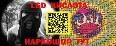 прущие грибы Краснознаменск