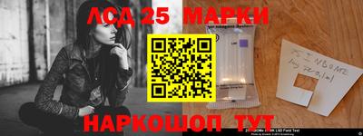прущие грибы Краснознаменск