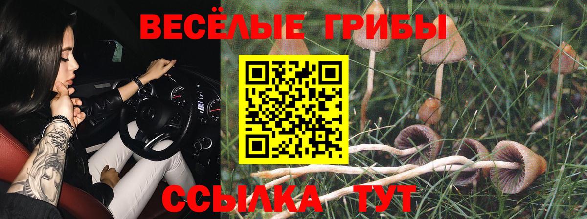Псилоцибиновые грибы Cubensis Кирово-Чепецк